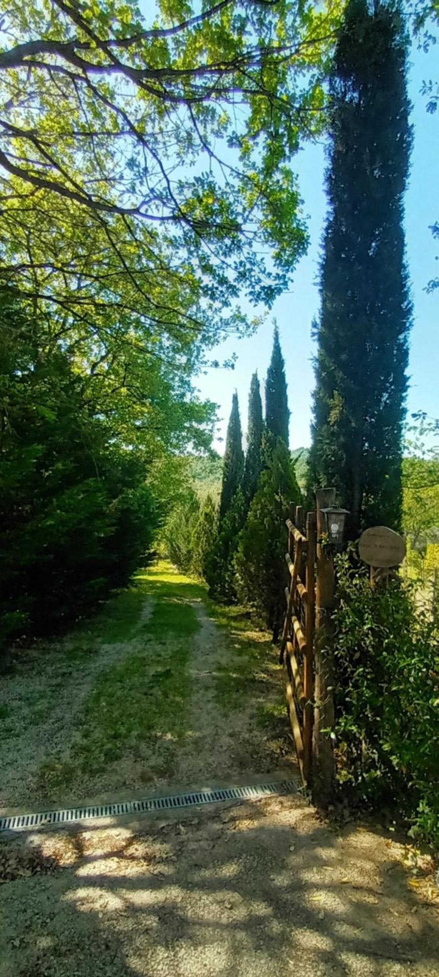 Casa In Maremma Apartment Montemerano Luaran gambar